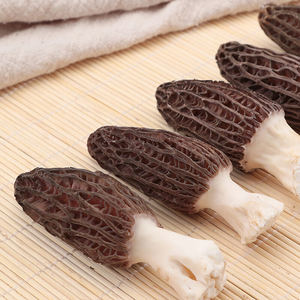 <span class=keywords><strong>Prix</strong></span> des champignons <span class=keywords><strong>morilles</strong></span> noirs séchés naturels en vrac - Product Image 2