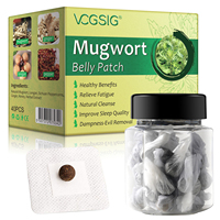 Patchs Détox Minceur aux Herbes Chinoises : Autocollants Ventraux au Mugwort pour la Perte de Poids