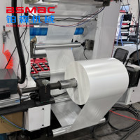 Machine d'impression flexographique à haute vitesse pour sacs en plastique de 6 couleurs, rouleaux de 800 mm de largeur, haute qualité, fabriquée en Chine