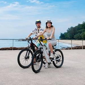 Vélo de route électrique XD26-II avec moteur haute puissance 250W et freins à disque hydrauliques – VTT XD26-II - Product Image 2