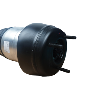 Amortiguadores de suspensión neumática delanteros izquierdos 2923202500 compatibles con Benz W292/C292*4WD 1663206766 - Product Image 4