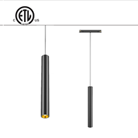 Système d'éclairage sur rail magnétique intelligent LED COB ultra-mince 20 mm 48 V en aluminium noir haut de gamme, blanc minimaliste, dimmable, pour maison et bureau