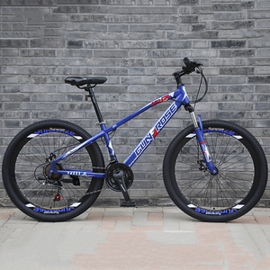 Oferta: <span class=keywords><strong>Cubierta</strong></span> de Rueda de Disco para <span class=keywords><strong>Bicicleta</strong></span> de Montaña, Alta Calidad, Precio Económico - Product Image 6