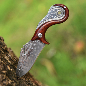 Coltello Damasco Personalizzabile con Manico in Legno, Nuovo Design a Lama Fissa per Uomo, Supporto OEM, Qualità DIY - Product Image 6
