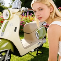Sepeda Motor Listrik Berkualitas Tinggi Harga Terjangkau 1000W 60V Baterai Lithium Skuter Listrik Roda Dua