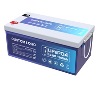 Baterai Lithium 12V 100ah 200ah 300AH dengan BMS Terintegrasi, Baterai LiFePO4 12v 300ah Isi Ulang untuk Sistem Solar RV Camper