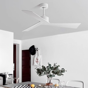 Quạt trần mà không có đèn tuôn ra núi điều khiển từ xa, ABS Blades hiện đại ngoài trời Quạt trần không có ánh sáng cho phòng ngủ - Product Image 5