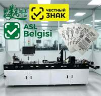 Mesin Pemroses Label Gantungan Pakaian Otomatis Penuh, Penulis Chip RFID, Pencetakan UV, Sistem Penolakan Barang Rusak BMG BMGUV48 5-6kW
