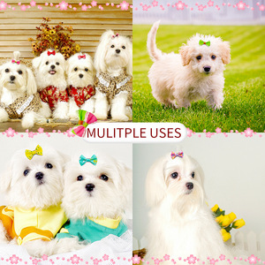 Lindos Lazos para el <span class=keywords><strong>Pelo</strong></span> de Perros Pequeños, Accesorios para el <span class=keywords><strong>Pelo</strong></span> de Mascotas, Lazos de Cinta Estampada Colorida, Lazos para el Cuidado de Cachorros y Gatitos, Suministros para Mascotas al por Mayor - Product Image 6