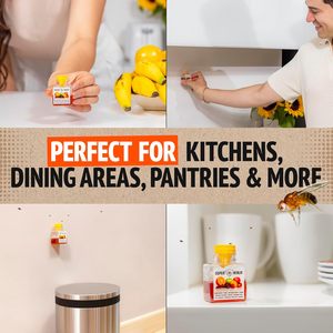 इनडोर रसोई फल फ्लाई ट्रैप तैयार-उपयोग संयंत्र-आधारित सूत्र भोजन गैर विषैले के आसपास सुरक्षित - Product Image 3