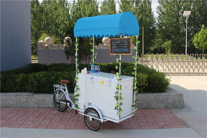 Tricycle électrique avec assistance au pédale, routeur à glace, 10 pouces, avec chariot de distribution pour aliments, vélo électrique - Product Image 3