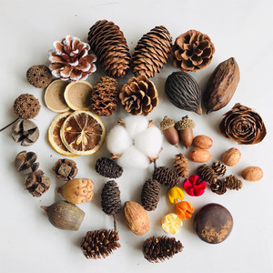 Meilleur vendeur maison arbre <span class=keywords><strong>de</strong></span> <span class=keywords><strong>noël</strong></span> décor pomme <span class=keywords><strong>de</strong></span> pin coton cannelle fleurs sèches usine en gros - Product Image 2