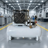 Compresseur d'air sans huile 12V/24V DC pour modifications de véhicules, pompe pneumatique pour nouvelles sources d'énergie avec réservoir de gaz