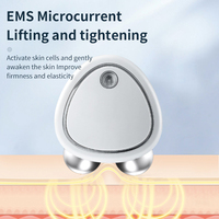 Mini masseur micro-courant pour le visage, outil de lifting, de tonification, de sculpture et de raffermissement, anti-âge, appareil facial micro-courant pour resserrer la peau