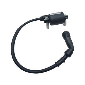 Bobina de Encendido Jilong de 2 Cilindros para Motocicleta Little Tyrannosaurus BJ125-3B3F, Pieza 2105047-5000004 - Product Image 2