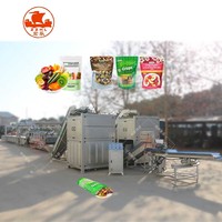 Gedroogde Groenten En Fruit Chips Maken Machine Vacuüm Knapperige Gebakken Gedroogde Groenten Fruit Chips Productielijn