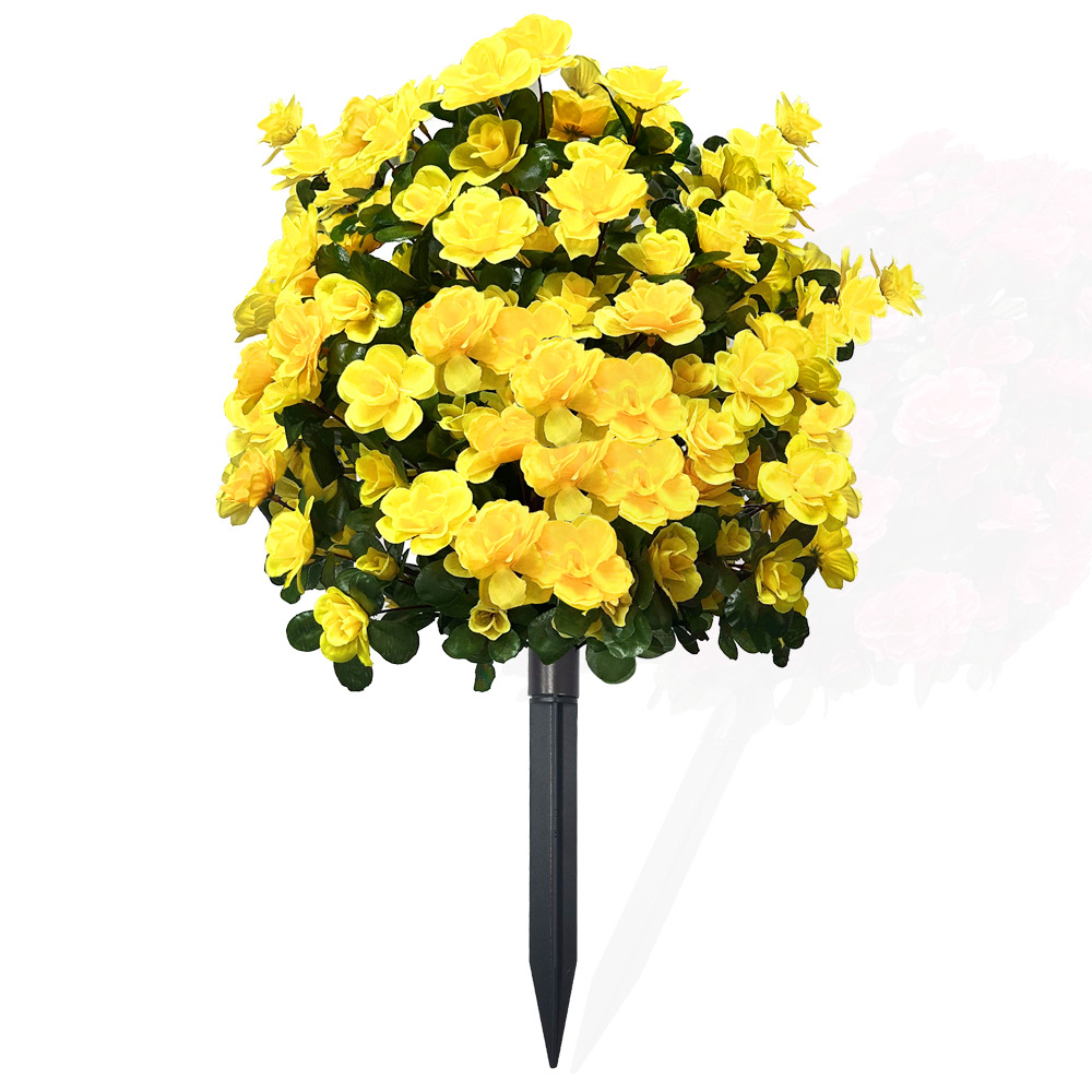 Azaleas in the ground - yellow