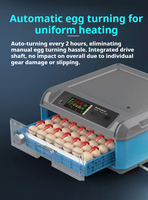 Incubateur d'oeufs double électrique intelligent de vente chaude classique pour les poussins à couver avec contrôle automatique de l'humidité