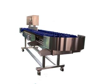 Máquina Clasificadora de Frutas y Verduras Automática Profesional, Clasificadora de Mango y Albaricoque, con Acero Inoxidable 304 - Product Image 4