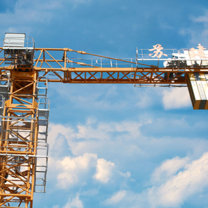 رافعة برجية PT250 7030-10T من الصين بسعر تنافسي للبناء - Product Image 4