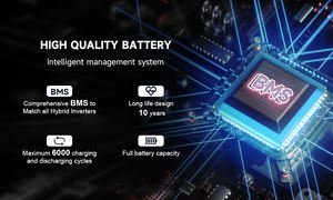 Paquete de Baterías de Litio Lifepo4 de 100ah 48v 300ah 230ah Fosfato de Hierro de 24v para Almacenamiento de Energía Doméstica - Product Image 2