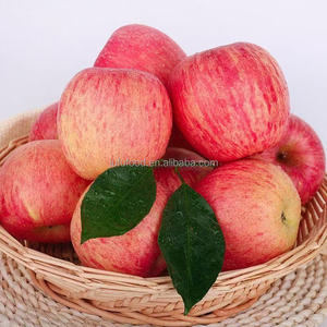 แอปเปิ้ลฟูจิจีนออร์แกนิก เกรด 1 จากซานตง รสหวานคล้ายฟูจิ - Product Image 4