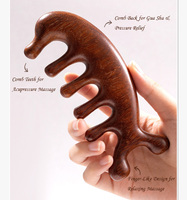 Peigne de massage en bois de santal Dragon Phoenix Guangdong, portable, multi-styles, fonctionnel, avec logo personnalisable disponible, pour le corps entier