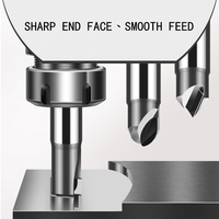 SAISU personnalisable diamant fraise en bout PCD deux cannelures mèches de routeur cnc outils de fraise en bout pour Graphite aluminium alliage de cuivre