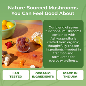 Безсахарный веганский ашваганда Рейши, Львиная Грива, повышающий иммунитет, 8 из 1 грибных жевательных конфет - Product Image 3
