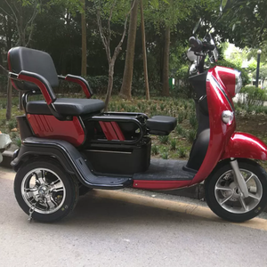 Triciclo Eléctrico <span class=keywords><strong>de</strong></span> Pasajeros, Motocicleta <span class=keywords><strong>de</strong></span> Tres Ruedas Abierta, 3 Velocidades, 48V, Marco <span class=keywords><strong>de</strong></span> Acero al Carbono, Motor <span class=keywords><strong>de</strong></span> 1000W al <span class=keywords><strong>Precio</strong></span> Más Favorable - Product Image 1