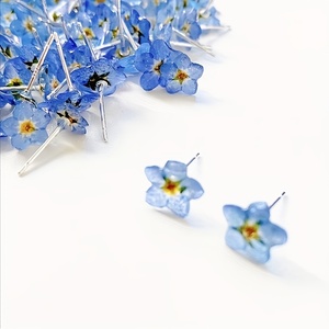 Eco Friendly DIY azul púrpura prensado Forget Me Not <span class=keywords><strong>para</strong></span> decoración de boda arte de resina suministros <span class=keywords><strong>para</strong></span> manualidades Tarjeta de nota escrita a mano - Product Image 4