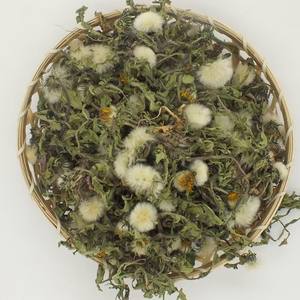 PuGongYing新鮮な原料Pu GongYing中国の天然TARAXACI乾燥モンゴルタンポポ茶 - Product Image 4