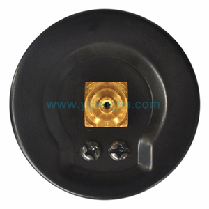 중국 공급 업체 새로운 품질 보증 건조 압력 게이지 - Product Image 6