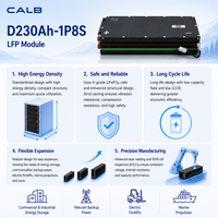 Module de batterie LiFePO4 CALB D230AH-1P8S 25,6V 230Ah Grade A avec prévention sûre de la décharge thermique 2500cls