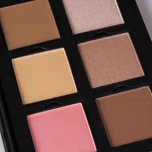 Menow-ensemble de palette de maquillage résistant à l'eau, 6 couleurs, pour maquillage du visage, MK01