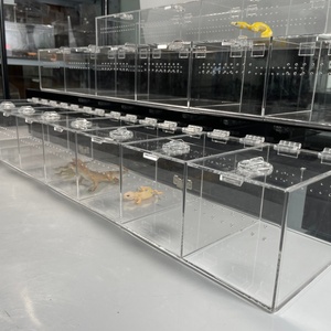 Terrario de Acrílico Moderno de Alta Transparencia para Cría de Reptiles, con Tapa Ventilada, Lavable y de Fácil Montaje - Product Image 2