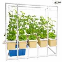 Système hydroponique d'intérieur en seau pour piments, seau hydroponique néerlandais pour plantes de tomates avec pot en filet complet