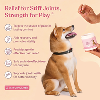 Friandises Apaisantes et Savoureuses au Bacon pour Chiens, 30 Unités, pour Soulager les Douleurs Articulaires et Musculaires, Marque Privée