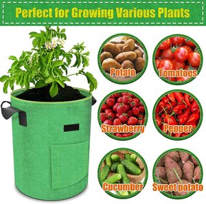Macetas de tela transpirable ecológicas de 5/7/10 galones, bolsa de cultivo de patatas de jardín con estampado de logotipo personalizado con asa 100% respetuosa con las plantas - Product Image 2