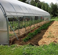 Serre agricole à tunnel unique Jiapei, économique, pour la culture de la tomate