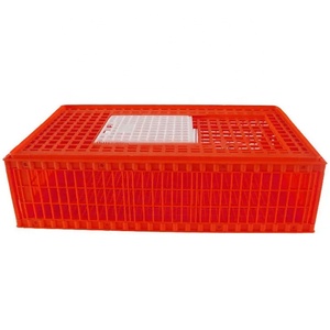 Caisse de transport pour poulets en plastique HDPE / Boîtes de transport pour volailles / Transporteur de volailles à vendre - Product Image 3