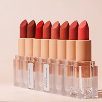 Lápiz Labial Líquido Mate de Larga Duración, Color Rojo Marrón Rosa, Venta al por Mayor, Maquillaje Cosmético, Logotipo Personalizado
