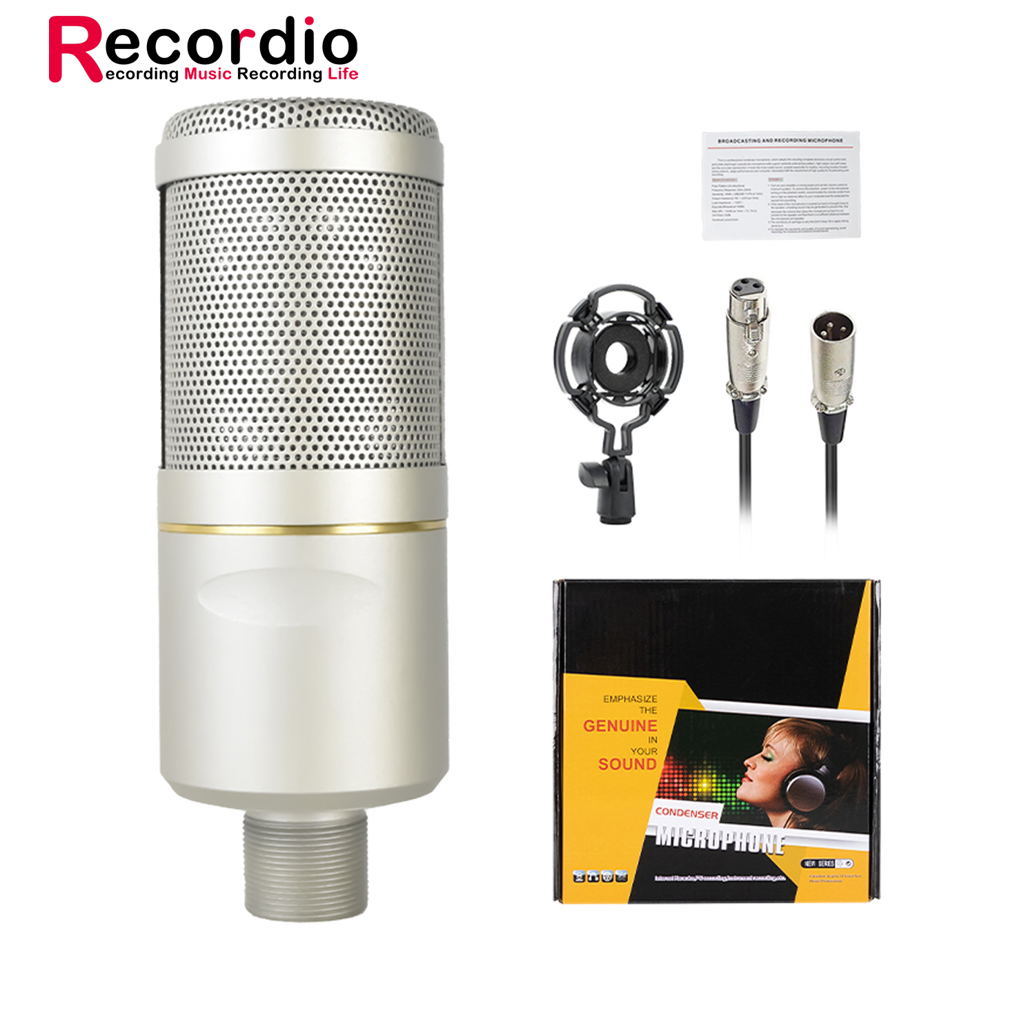 ミュージック FT Official fanmeeting collection GAM-ZX320 Condenser Microphone - Professional Studio Recording
