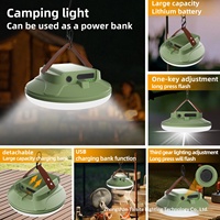 Nouvelle lampe de camping DL-388 LED, éclairage d'urgence extérieur, commande par bouton, batterie externe détachable pour stands, marchés nocturnes, usage domestique portable