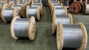 1/4 ", 3/8", hilo de alambre de acero galvanizado para Cable/Guy Wire/Stay Wire/Messenger/ACSR Conductor 5000ft/carrete - Product Image 2