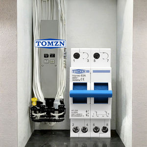 Interruptor de transferencia manual de doble potencia TO219G azul MCB 2P 230V AC 63A 50/60Hz con bloqueo para generador, energía urbana y fotovoltaica - Product Image 3