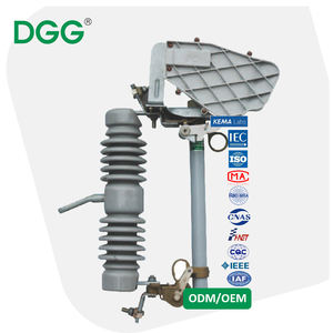 Dgg מתח גבוה/hv חיצוני <span class=keywords><strong>11kv</strong></span> ירידה החוצה קו הפצה גירוש קו ההגנה שנאי-לשעבר הגנה על פולימר - Product Image 6