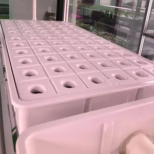 Garden indoor seedling growing tray for hydroponic systems plastic hydroponic plug tray flat bean sprouts seed plant plug trays