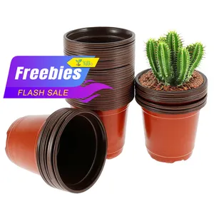 Wholesale Cheap Double Color Plastic Flower Pots for Plants Mini Maceta Bonsai