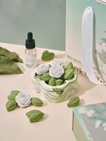 Coffret Cadeau Thé à la Gardénia pour Aromathérapie, Diffuseur en Pierre Sans Flamme, Huile Essentielle Longue Durée Sans Alcool, Souvenir Haut de Gamme pour Chambre